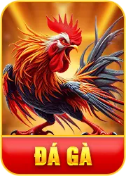 Đá gà